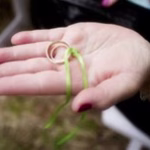 Symbolic Ritual Options 10 svg+xml;charset=utf